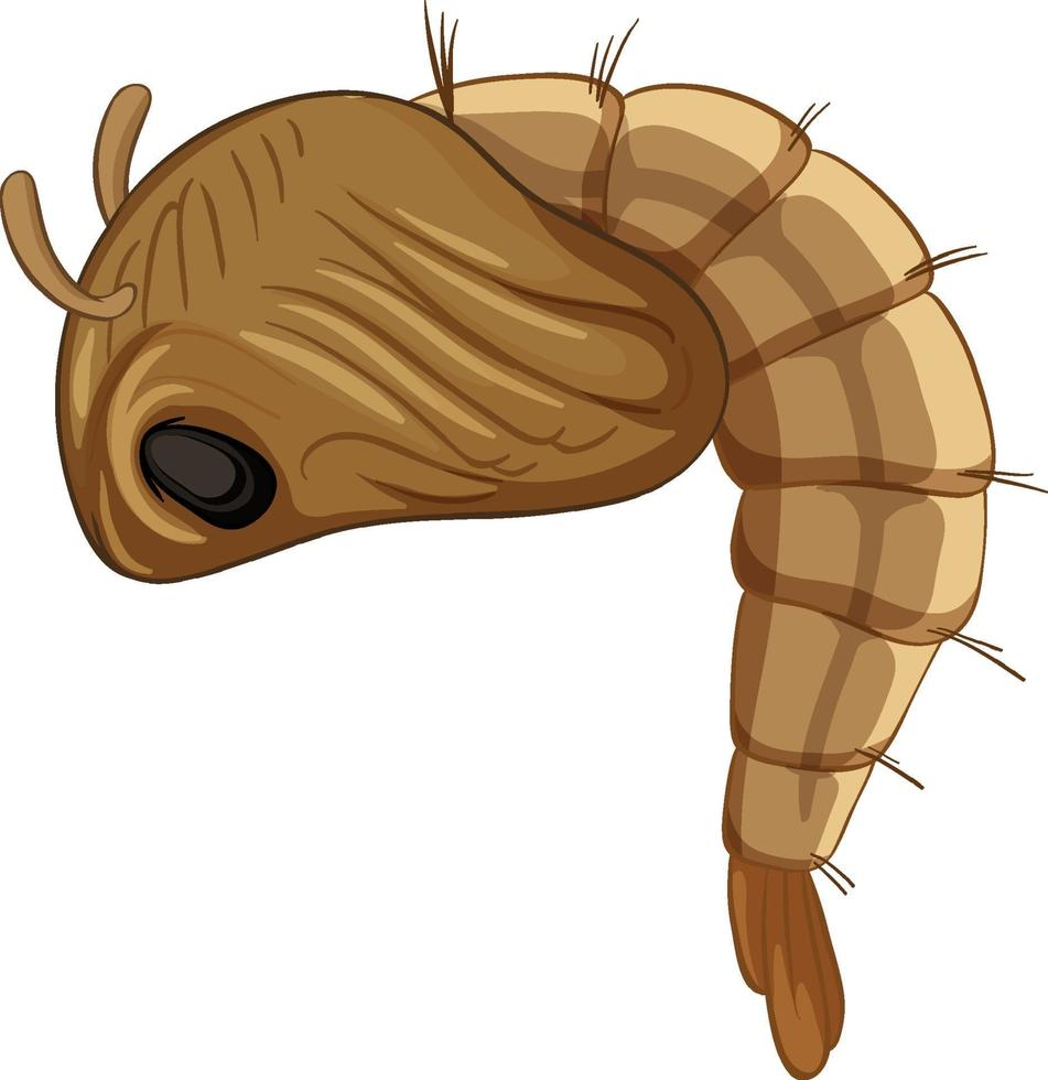 Pupa Icon